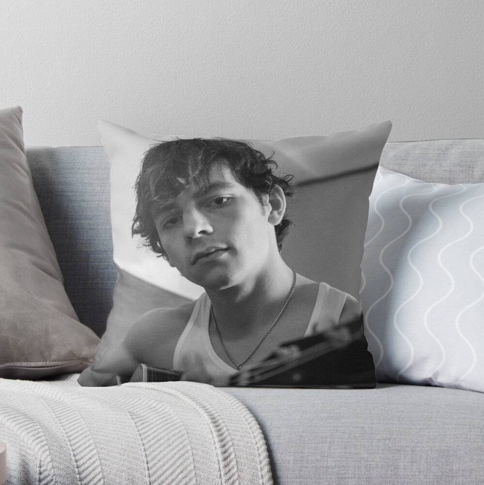 ross throw pillows