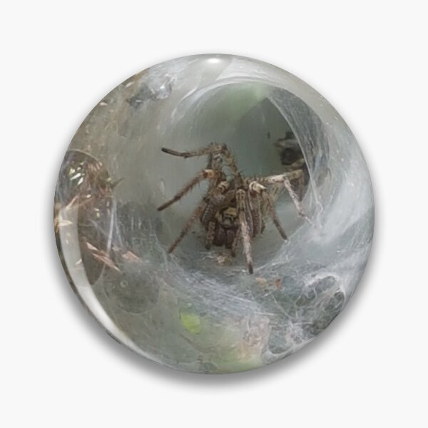 Item preview, Waiting Spider designed and sold by AbnormalLoad.