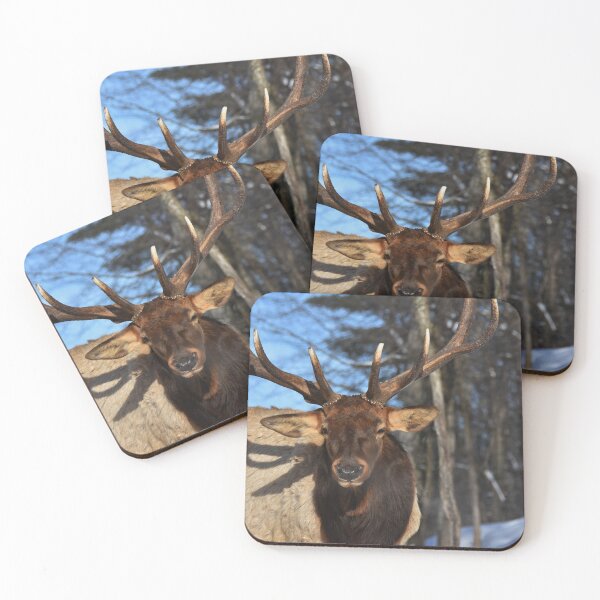 Item preview, Wapitis Elk..... designed and sold by Poete100.