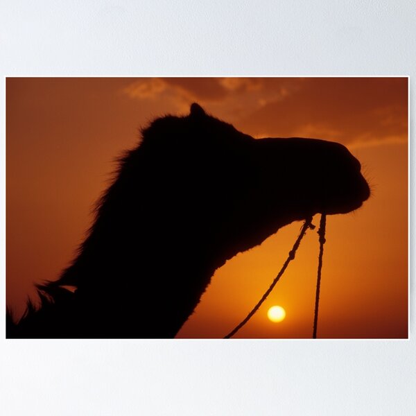 Item preview, Rajasthan silhouette designed and sold by Melanie Ball.