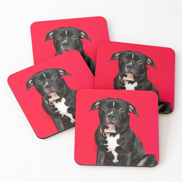 Item preview, Gorgeous Black and White Staffordshire Bull Terrier designed and sold by DSBE Designs.