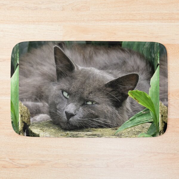 Item preview, 2575/  15  Chat-Cat  Grisous " entre Méfiance et Amitiés ! "  finition 2020 par Okaio Créations - Olavia&Olao  designed and sold by o.okaïo.
