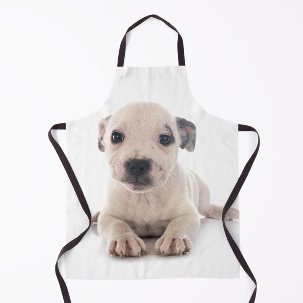 Item preview, Gorgeous White Staffordshire Bull Terrier Puppy designed and sold by DSBE Designs.