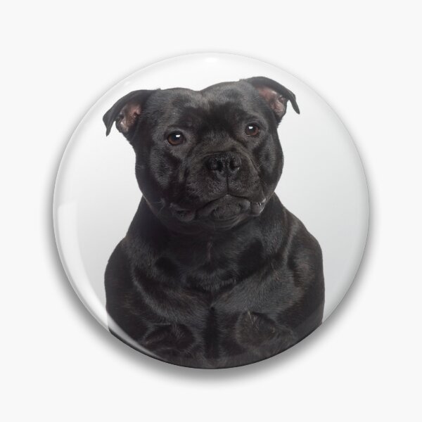 Item preview, Black Staffordshire Bull Terrier - Stunning! designed and sold by DSBE Designs.