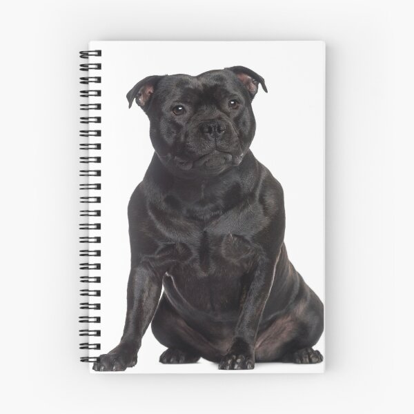 Item preview, Black Staffordshire Bull Terrier - Stunning! designed and sold by DSBE Designs.