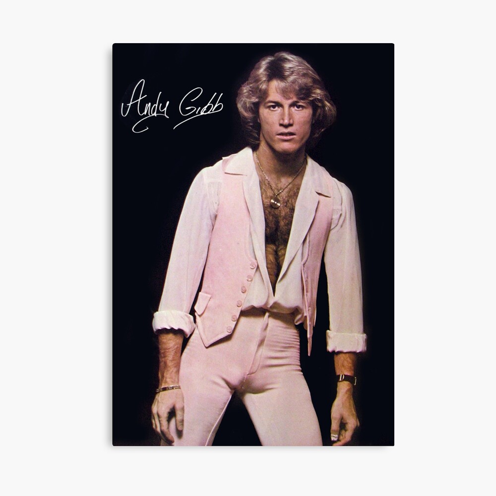 Andy Gibb poster Poster