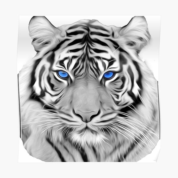 Poster Tigre Blanco Con Ojos Azules De Ramkiworld99 Redbubble