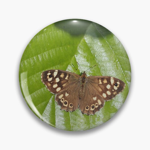 Item preview, Speckled Wood Butterfly designed and sold by MendipBlue.