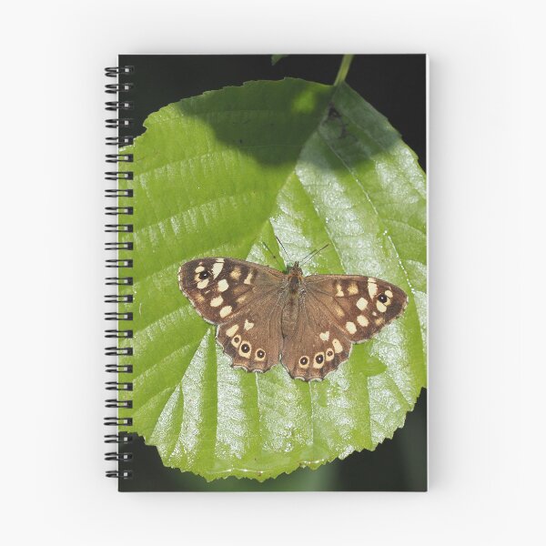Item preview, Speckled Wood Butterfly designed and sold by MendipBlue.