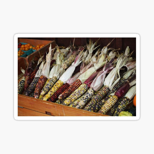 Niagara Corn Sticker