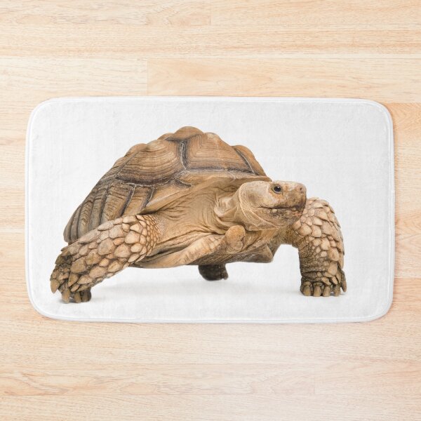 Item preview, African Spurred Tortoise designed and sold by DSBE Designs.