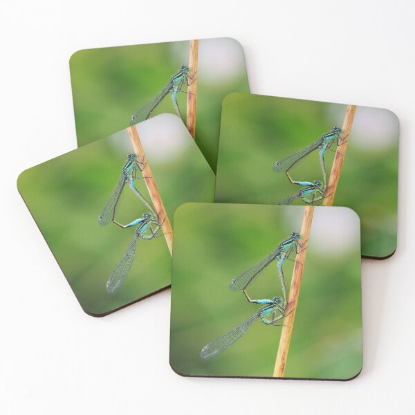 Item preview, Blue Demoiselle designed and sold by MendipBlue.