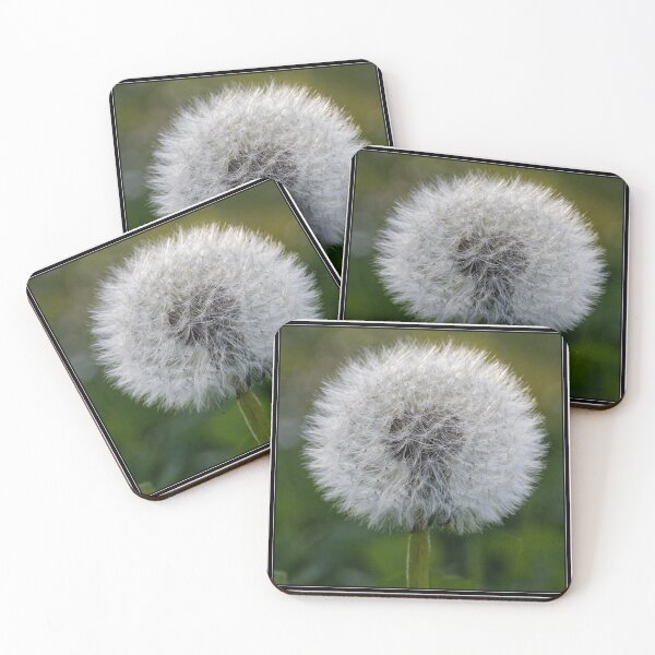 Item preview, dandelion pom pom designed and sold by stef44.