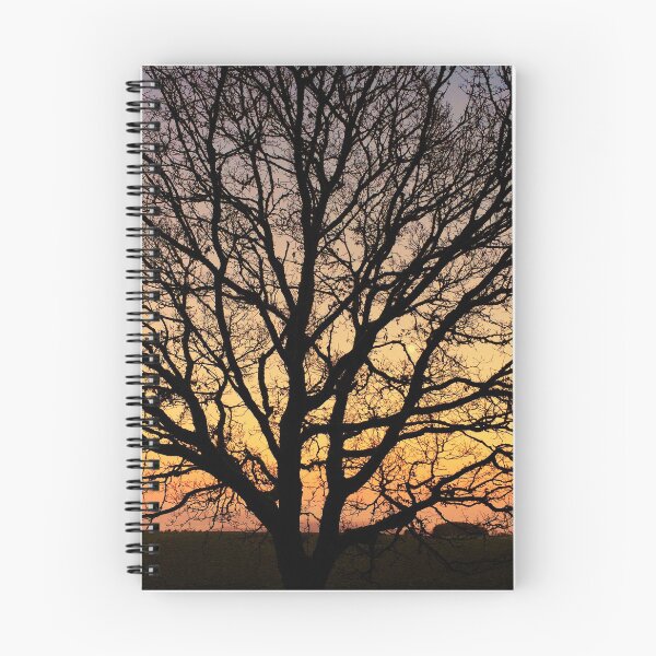 Item preview, Oak Tree at Sunset designed and sold by derekbeattie.
