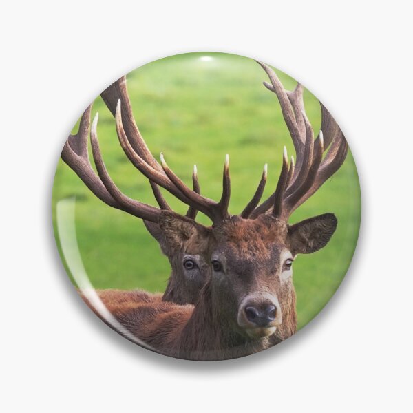 Item preview, Red Deer Stags stacking designed and sold by MendipBlue.
