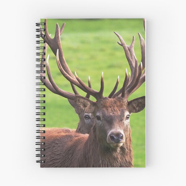 Item preview, Red Deer Stags stacking designed and sold by MendipBlue.