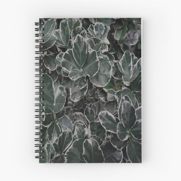Item preview, plantas de hojas de color 01 designed and sold by BVCdesigns.