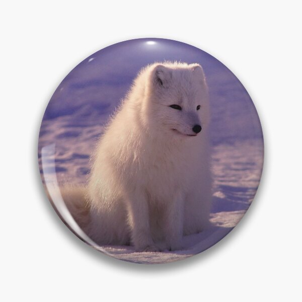 Item preview, Cute Animals White Fox With White Fur Winter Season designed and sold by Dr.YesOrNo.