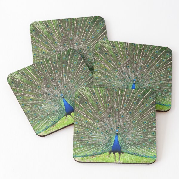 Item preview, Peacock designed and sold by MendipBlue.