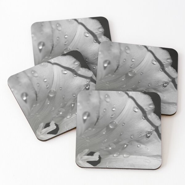 Item preview, graceful black and white bindweed designed and sold by stef44.