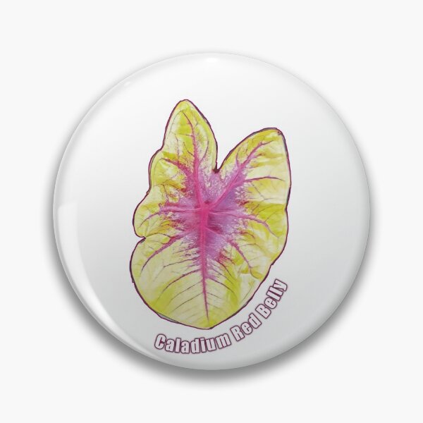 Item preview, Caladium Red Belly Leaf designed and sold by kimcrunner.