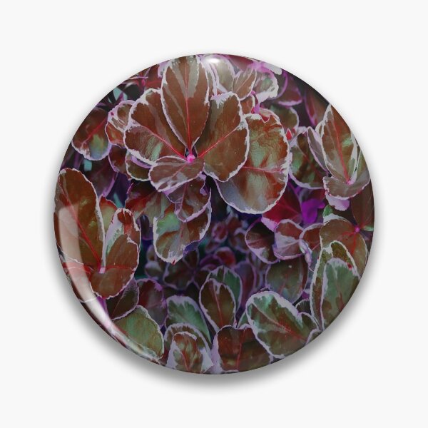 Item preview, color leaf plants 3 designed and sold by BVCdesigns.