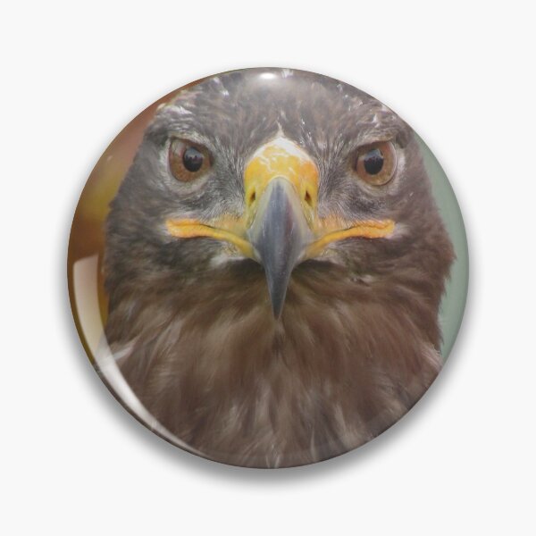 Item preview, Steppe eagle designed and sold by DomenicBlair77.