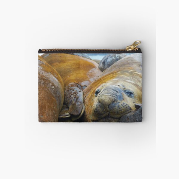 Item preview, A blubber of elephant seal designed and sold by Melanie Ball.