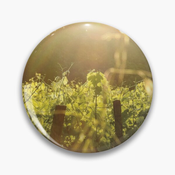 Item preview, Vineyard at Sunset - France Countryside and Nature Photography designed and sold by Dan Shachar.
