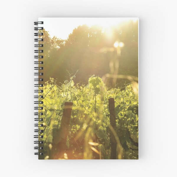 Item preview, Vineyard at Sunset - France Countryside and Nature Photography designed and sold by Dan Shachar.