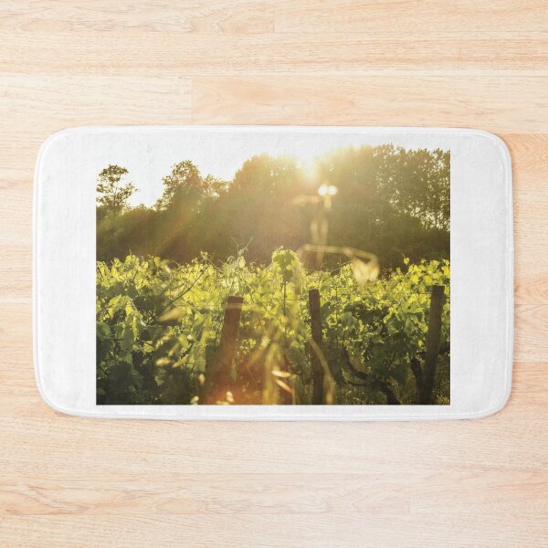 Item preview, Vineyard at Sunset - France Countryside and Nature Photography designed and sold by Dan Shachar.