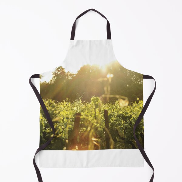 Item preview, Vineyard at Sunset - France Countryside and Nature Photography designed and sold by Dan Shachar.