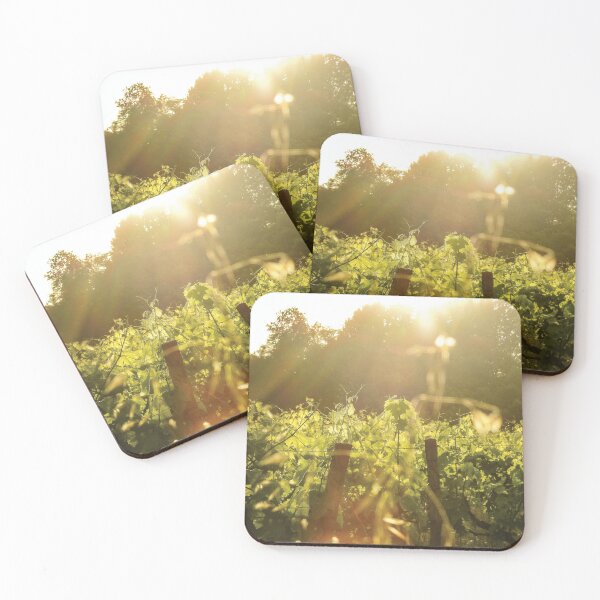 Item preview, Vineyard at Sunset - France Countryside and Nature Photography designed and sold by Dan Shachar.