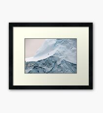 Wildlife and ice Framed Print