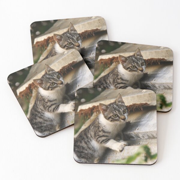 Item preview, My cute kitty designed and sold by AJ-Digital-Arts.
