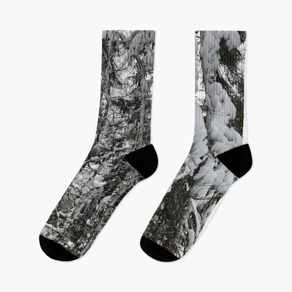 Item preview, Winter Forest designed and sold by PabloPKasso.
