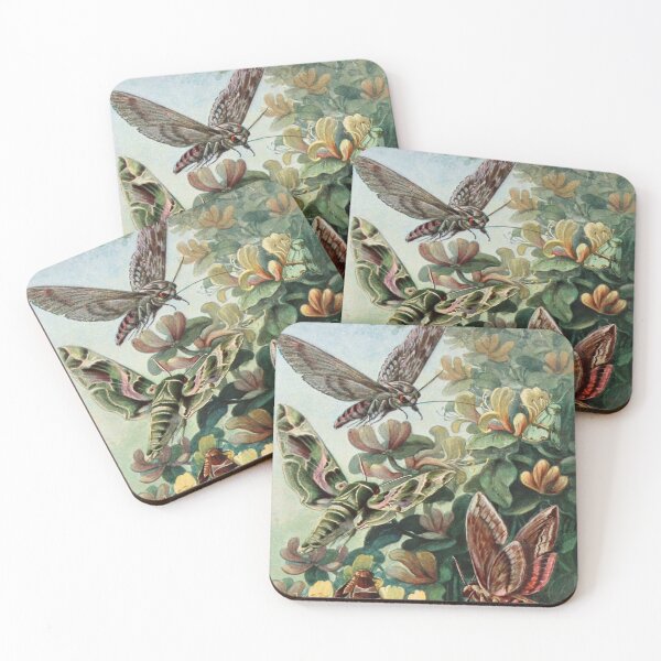 Item preview, Vintage Moths designed and sold by hashnan21.