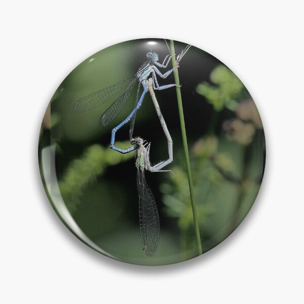 Item preview, 2576/  1  Libellules-Dragonflies " Un coeur Tendre "  finition 2020 par Okaio Créations - Olavia&Olao  designed and sold by o.okaïo.