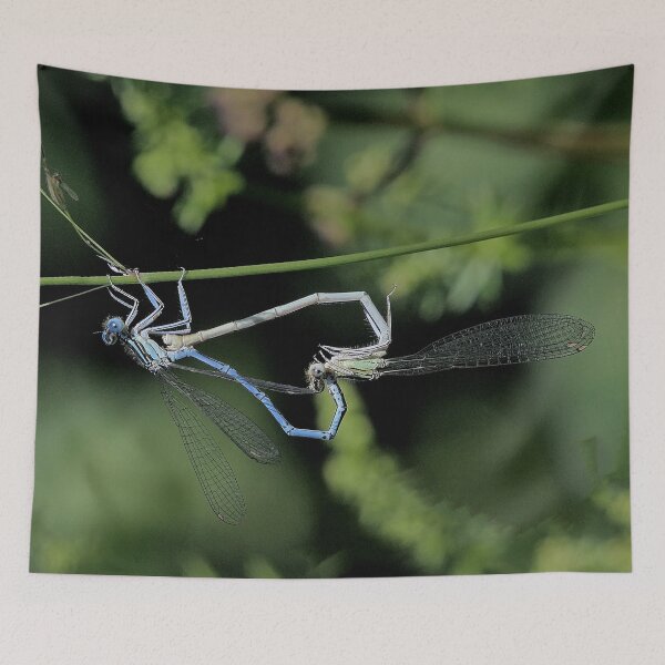 Item preview, 2576/  1  Libellules-Dragonflies " Un coeur Tendre "  finition 2020 par Okaio Créations - Olavia&Olao  designed and sold by o.okaïo.