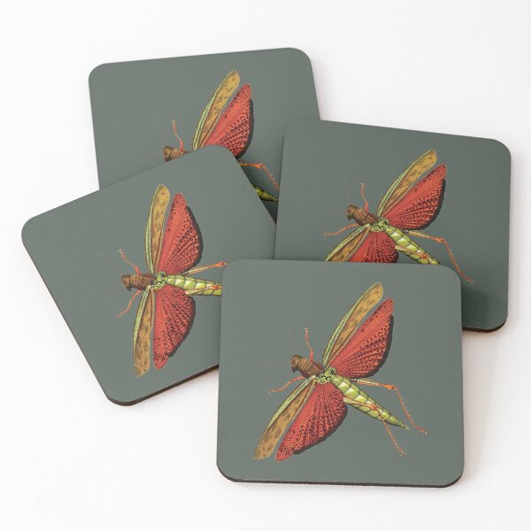 Item preview, Redwings Grasshopper "Tropidacris dux" designed and sold by FredV.