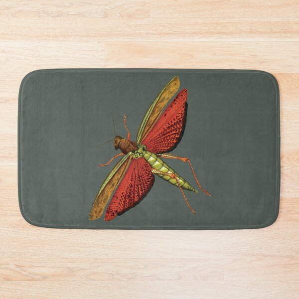Item preview, Redwings Grasshopper "Tropidacris dux" designed and sold by FredV.
