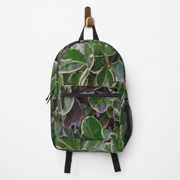 Item preview, color leaf plants 6 designed and sold by BVCdesigns.