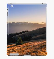 Hurricane Ridge iPad Case/Skin