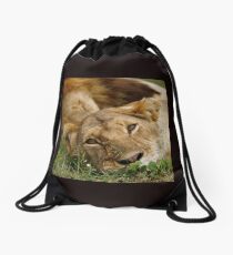 dreamy lioness Drawstring Bag