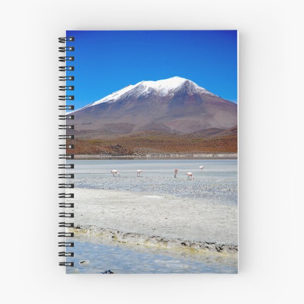 Item preview, Flamingoes in the Andes designed and sold by twoeyesnacamera.