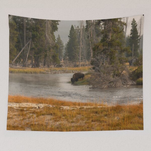 Item preview, Bison Down by the River's Edge designed and sold by Zurickdesigns.