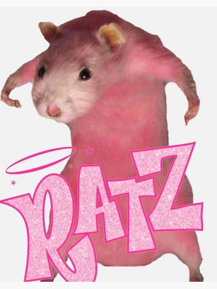 FLUTTER ジャケット hwzn bross evilact RATS funny RATZ