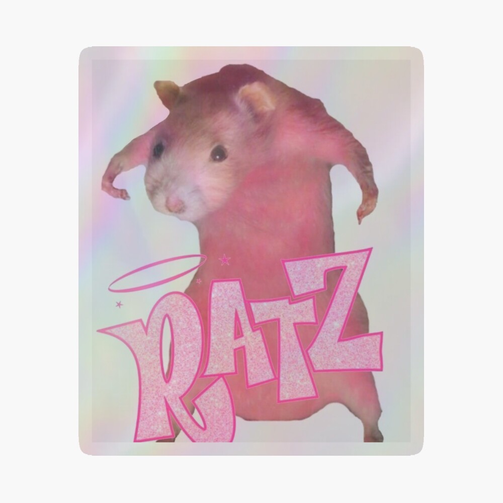 FLUTTER ジャケット hwzn bross evilact RATS funny RATZ