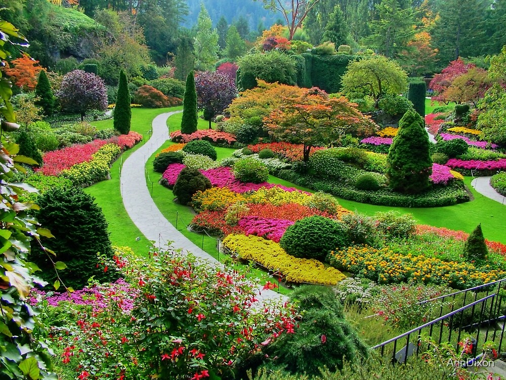  Butchart  Gardens  Victoria Canada  in Autumn by 