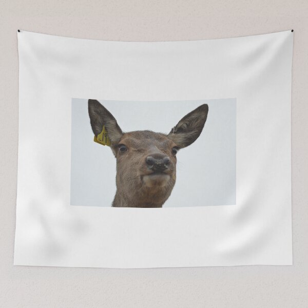 Item preview, cute red deer designed and sold by ETstickerz.